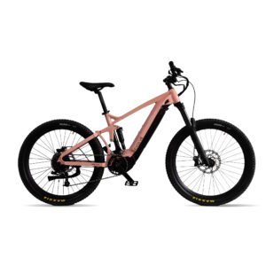 full suspension mountain ebike