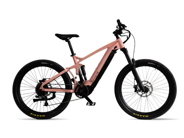 full suspension mountain ebike