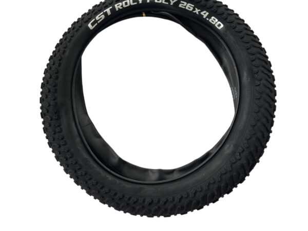 electric mountain bike