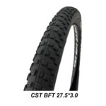 electric mountain bike