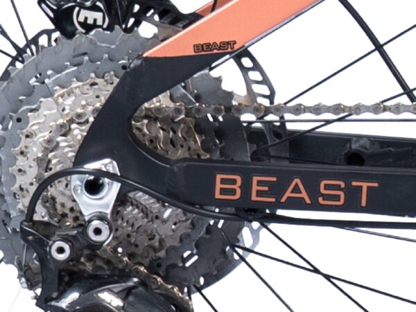 electric mountain bike