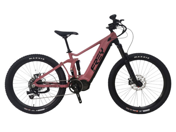 electric mountain bike