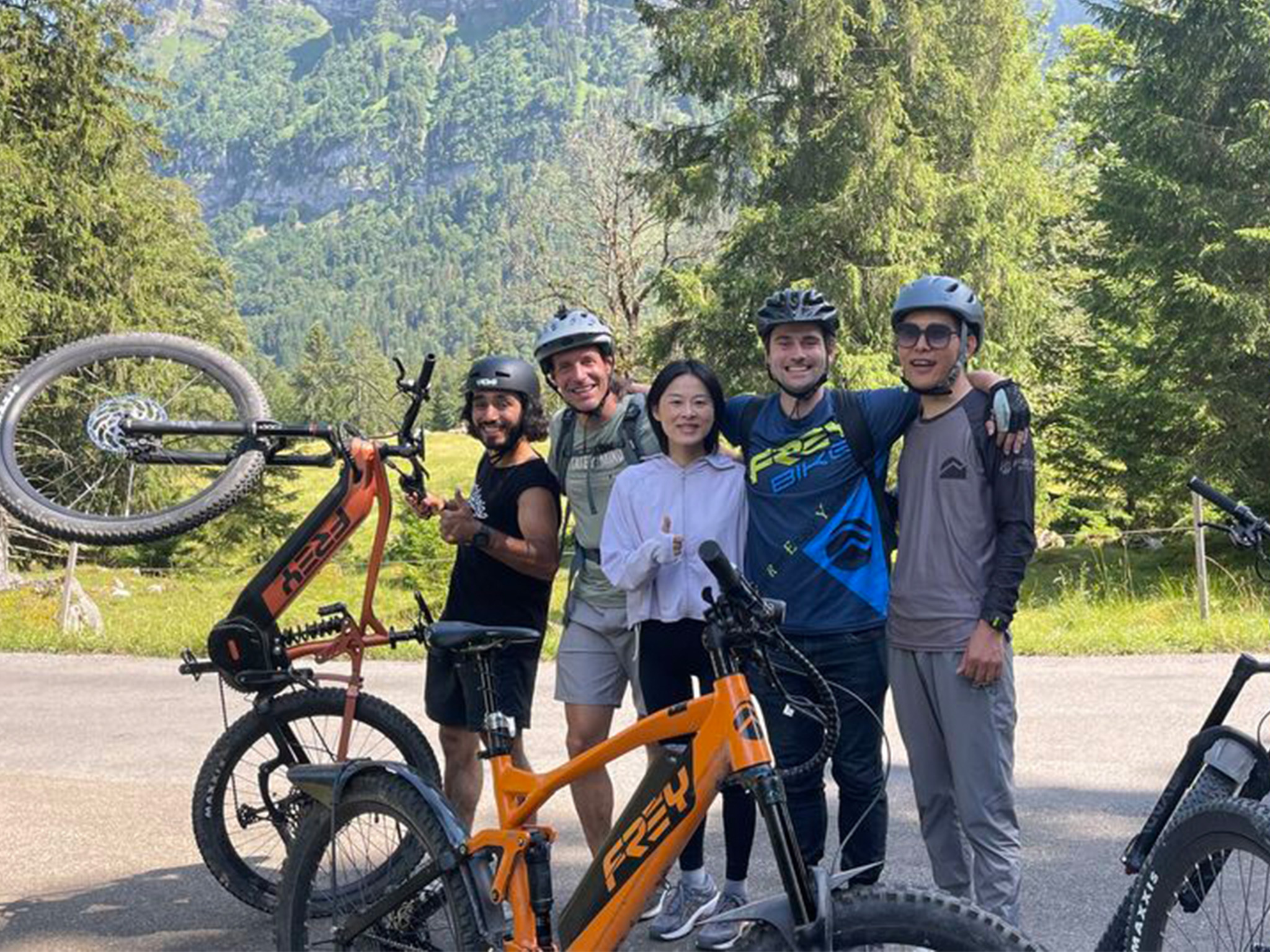 frey ebike