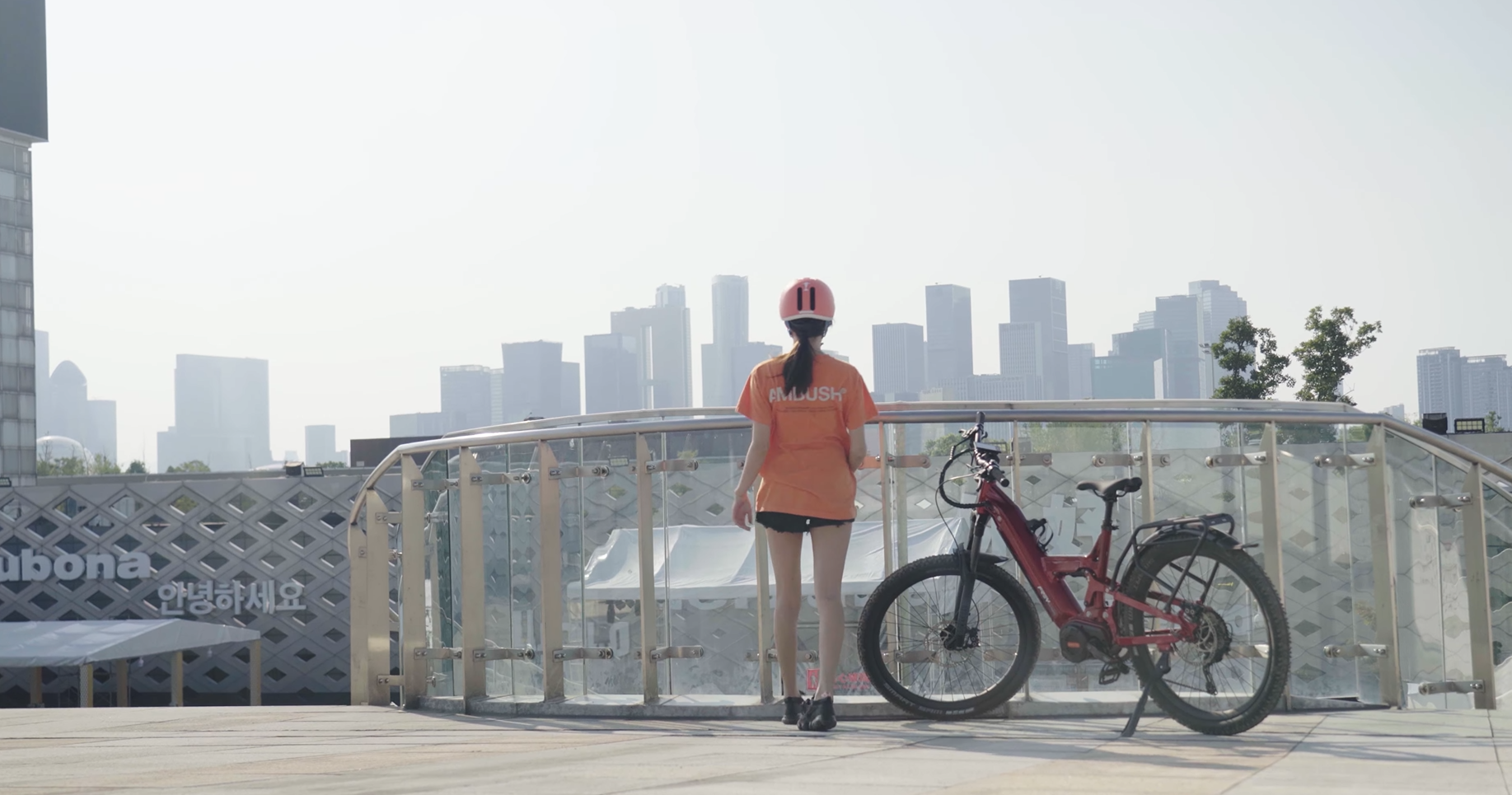 Step-through ebikes