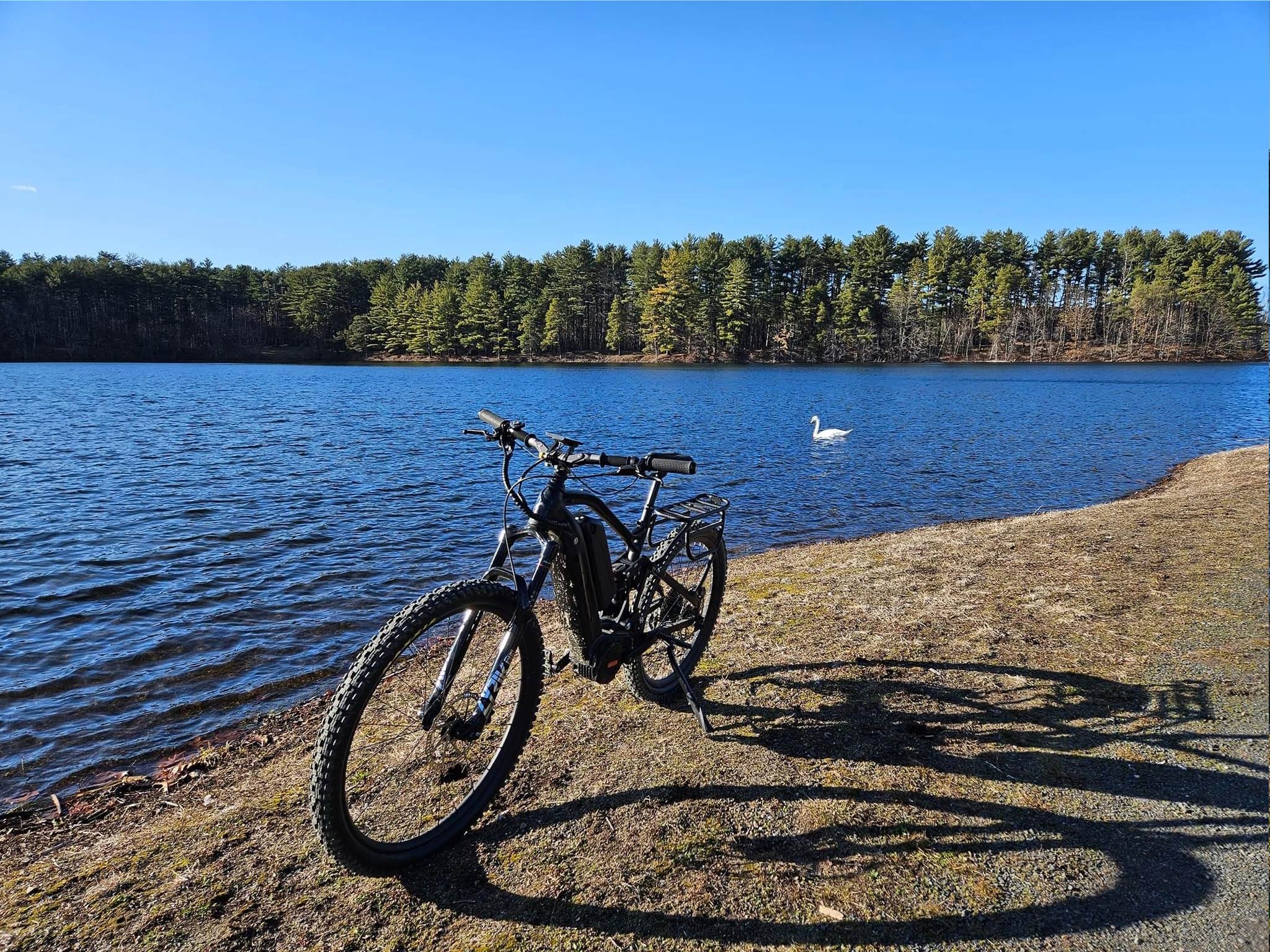 electric mountain bike