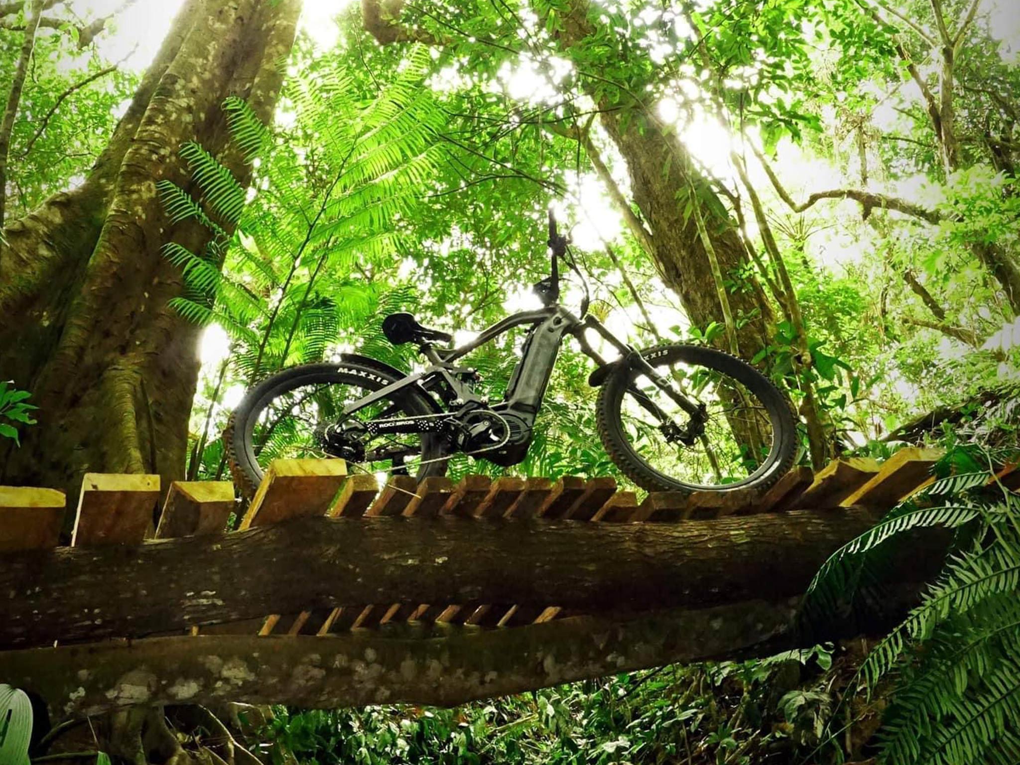 electric mountain bike