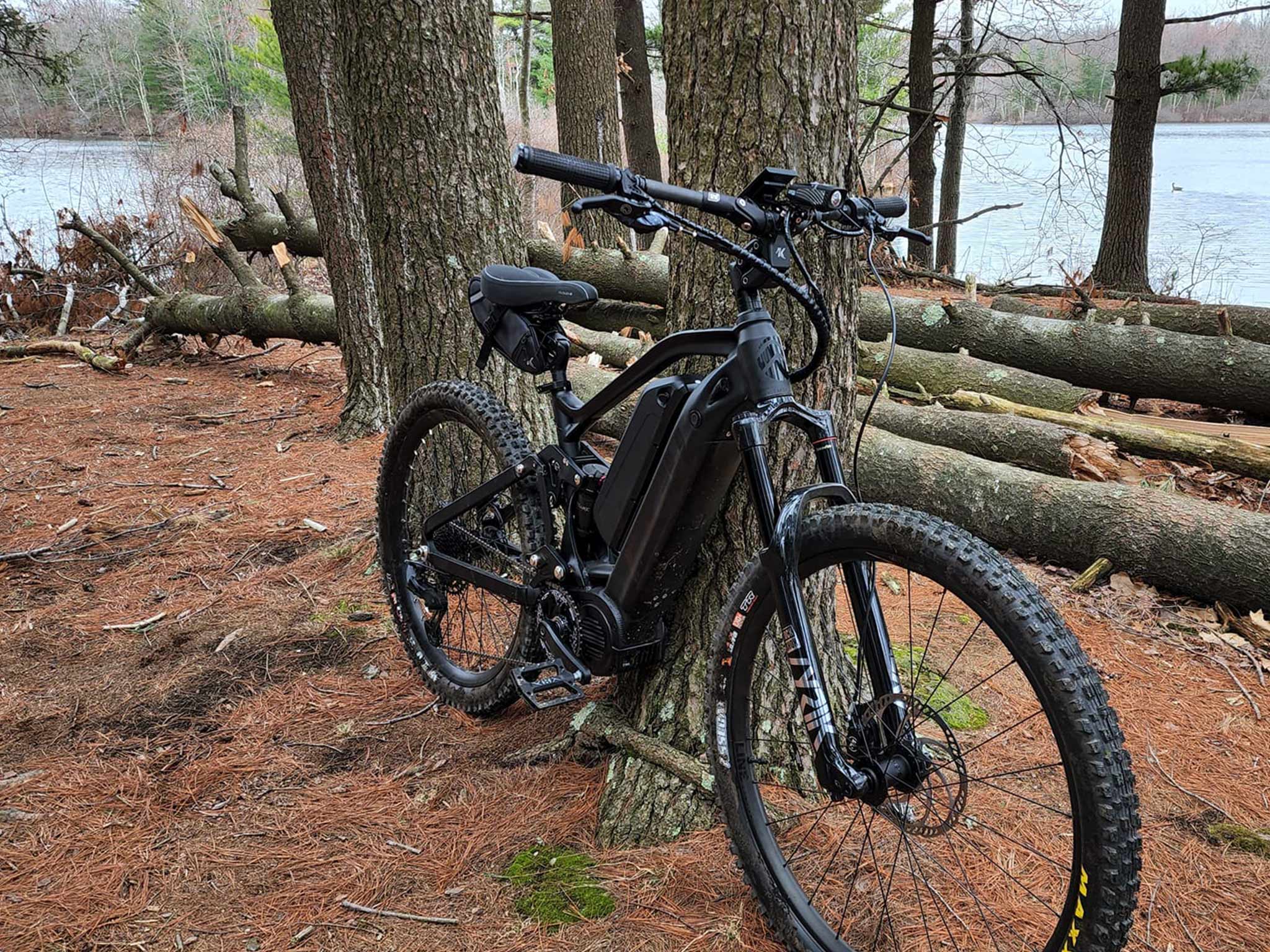 electric mountain bike