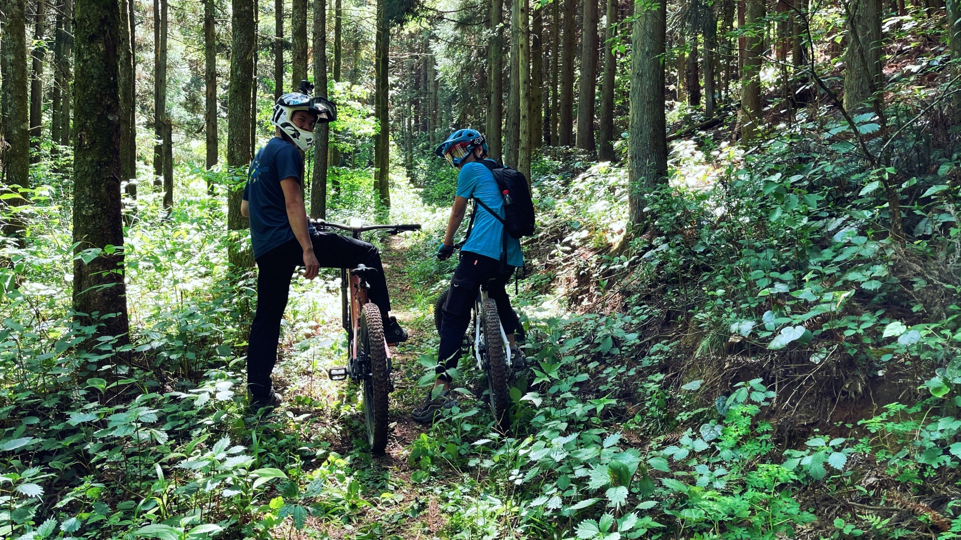 electric mountain bike