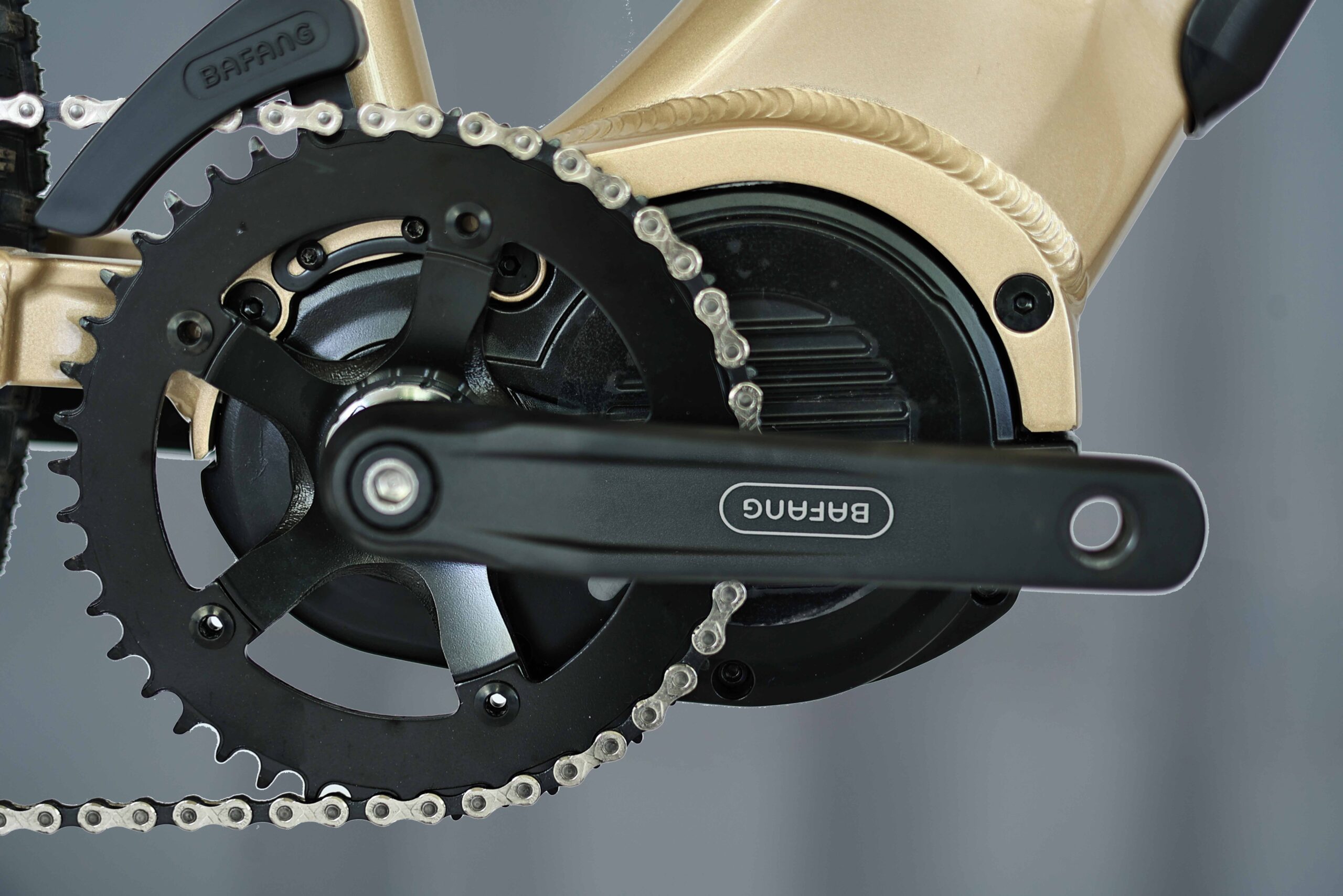 Long-range electric mountain bike